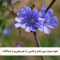 نحوه مصرف عرق کاسنی و شاتره